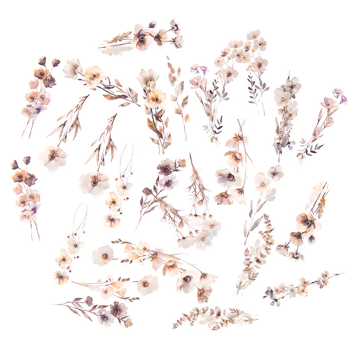 Naklejki transparentne KWIATY folia PET 30 SZT - BEIGE MIST