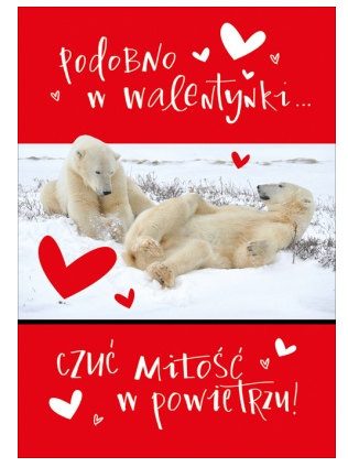 Kartka okolicznościowa Walentynki "Podobno w Walentynki czuć miłość w powietrzu" Misie polarne