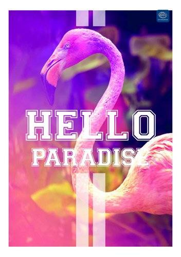 Kołozeszyt A4 100 kartkowy w kratke 276 - mix wzorów