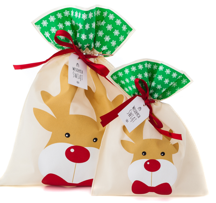 Torebka prezentowa świąteczna wiązana 22 x 30 cm Renifer