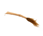 Ogon Lwa