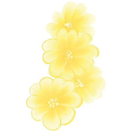 Farba do twarzy i ciała Split Cake Eulenspiegel 6 ml