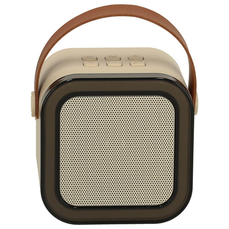 Zestaw do karaoke głośnik Bluetooth 2 mikrofony USB LED 6W beżowy