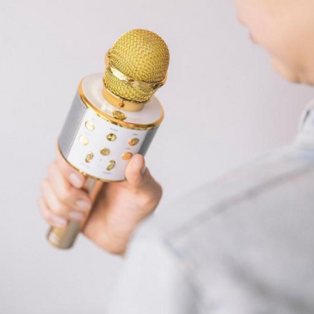 Mikrofon bezprzewodowy KARAOKE Bluetooth + głośnik