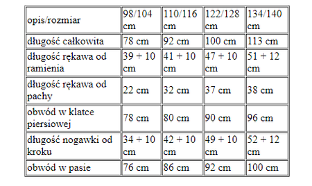Strój KUBUŚ PUCHATEK