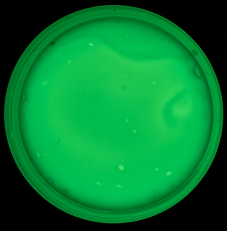 Farba do tkanin FOSFOROWA luminescencyjna PROFIL