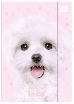 Teczka z gumką A4 LUX UV mix