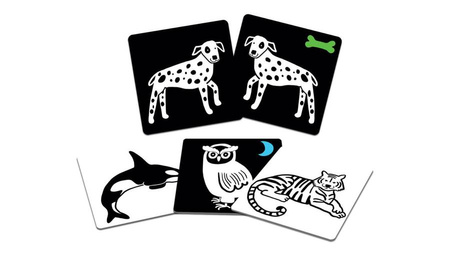 KARTY KONTRASTOWE ZWIERZĘTA W PASKI I ŁATY GRA EDUKACYJNA KAPITAN NAUKA