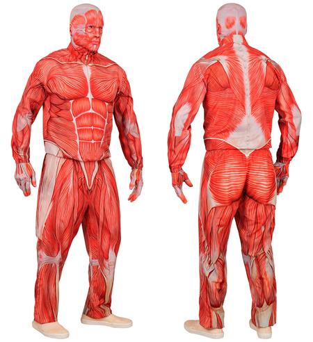 Anatomiczny strój dla dorosłych obrany ze skóry mięsnie