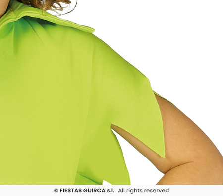 Robin Hood Piotruś Pan Skrzat zielony strój dla chłopca