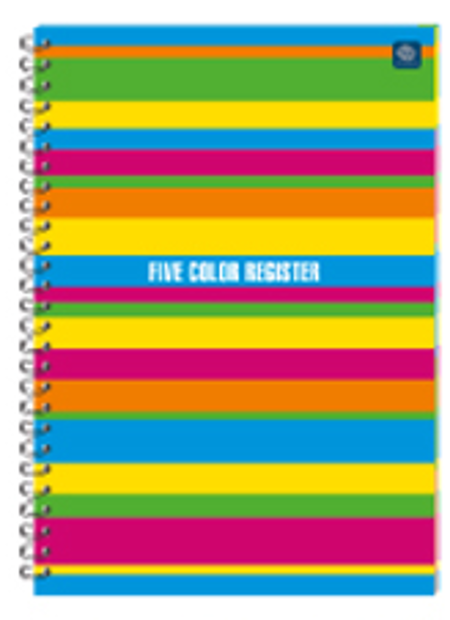 Kołozeszyt A4 100 kartkowy w kratke 546  kolorowe marginesy